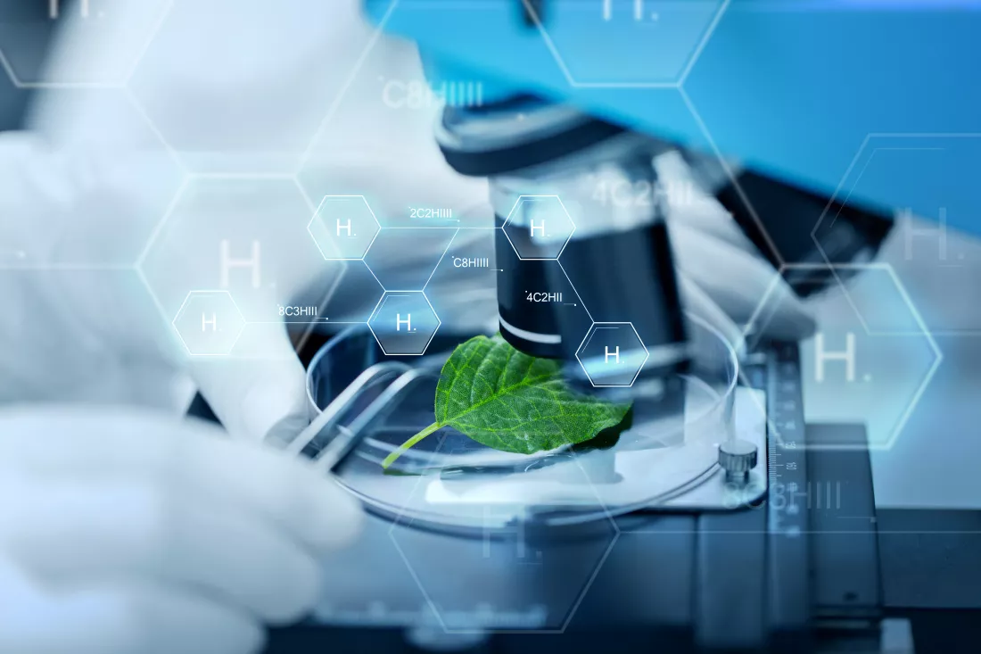 Biotechnology study